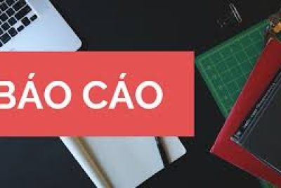 Báo cáo tự đánh giá mức độ chuyển đổi số